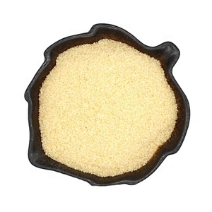 Halal food gelatin 240bloom 20mesh with ISO HACCP MUI certificate gelatin powder